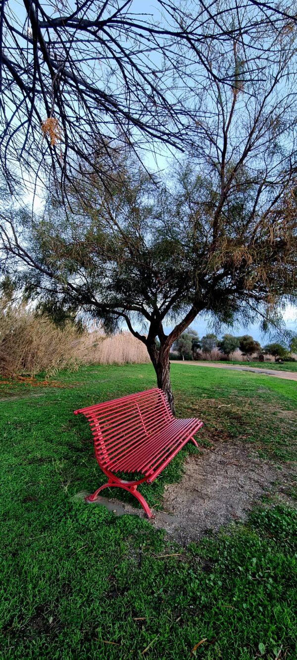 Al parco tra la natura